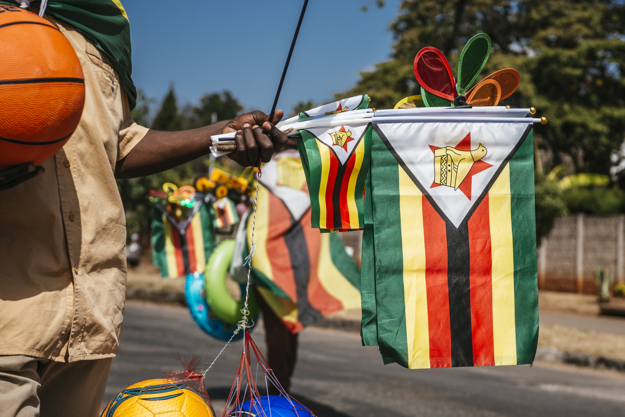 Zimbabwe to retain 30% of carbon credit revenue