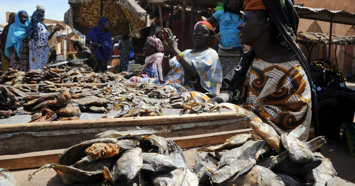 Timbuktu under extremist siege – Mali officials
