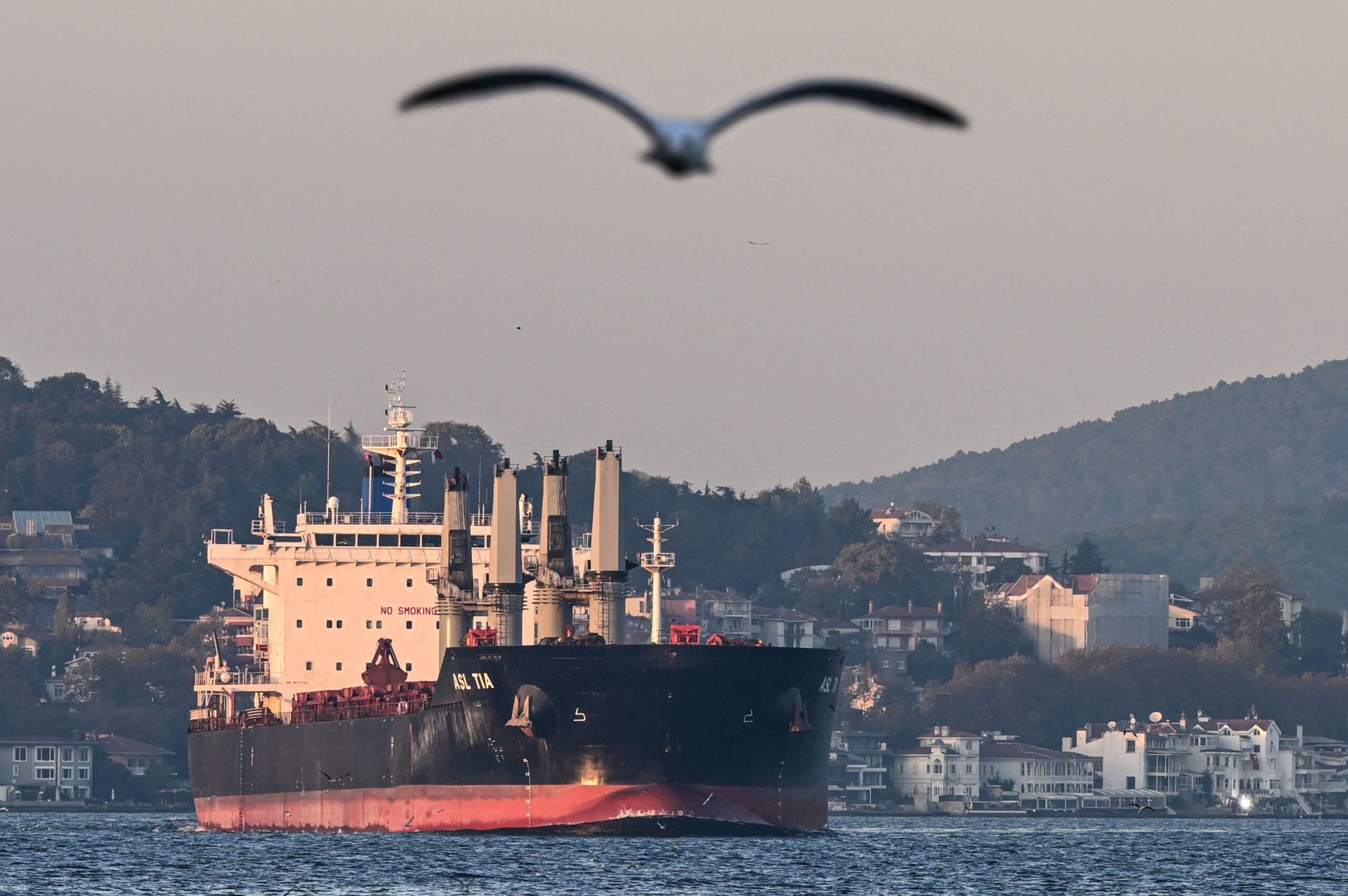 Black Sea Grain deal best viable option for the world