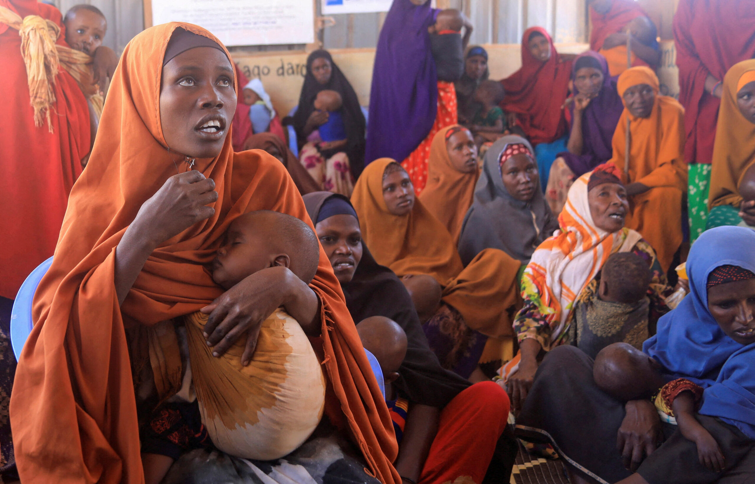 EU suspends funding to World Food Program in Somalia due to theft