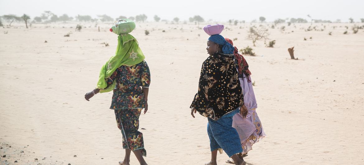Climate migration crisis will present big problem for Africa, says WMO
