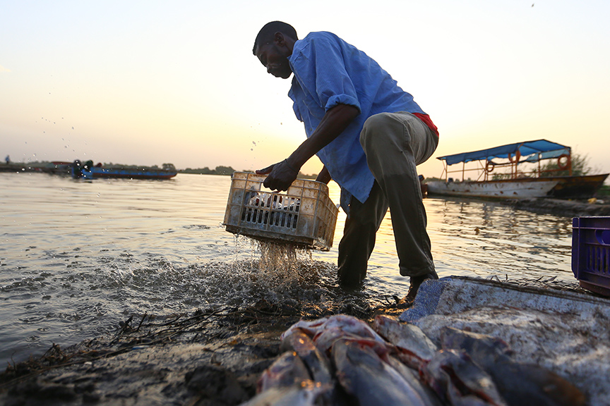 Sudanese journalists and teachers forced to work in other jobs due to war