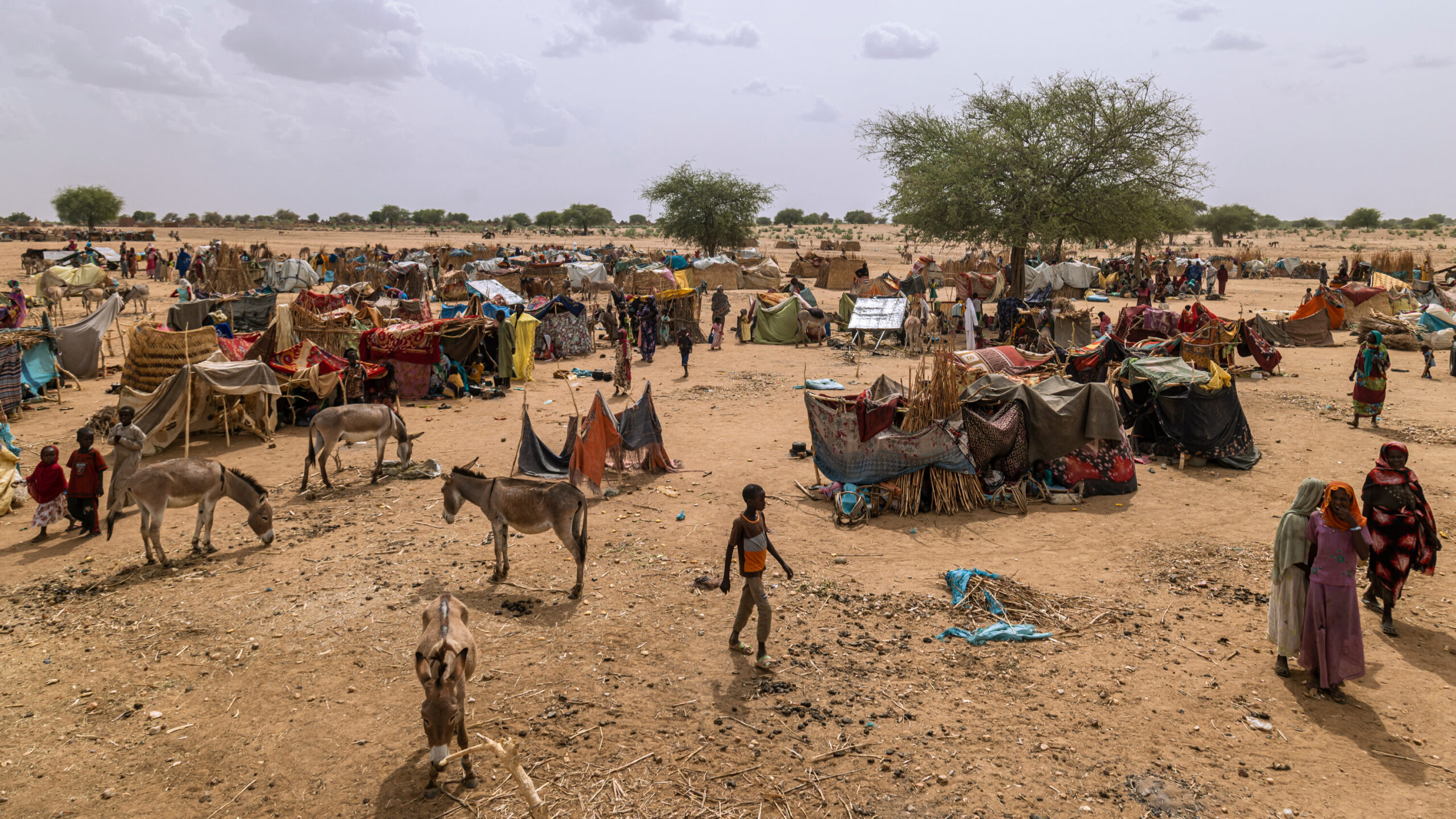 Deaths rise among Sudanese refugees in Chad due to lack of water and food