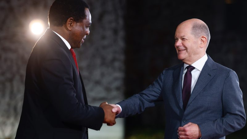 EU, African nations need closer cooperation on energy, says Germany