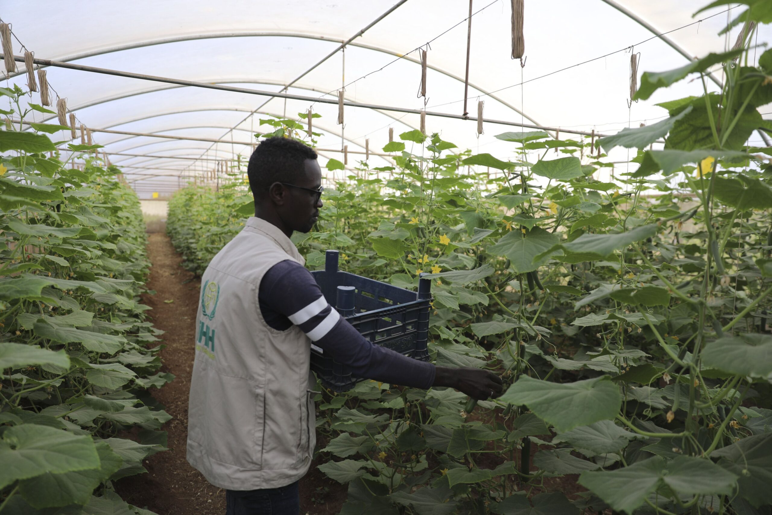 Turkish aid agency installs greenhouses in Somalia