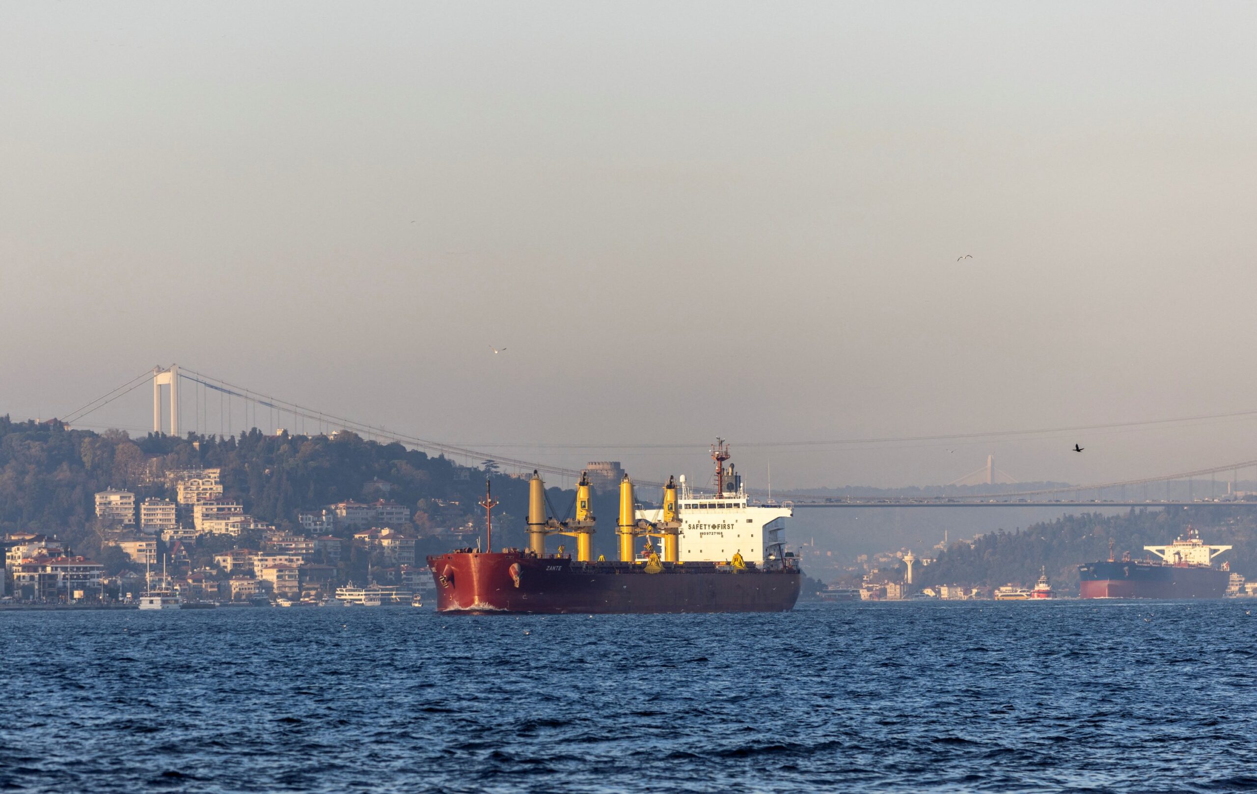 Russia starts delivery of free grain to Africa