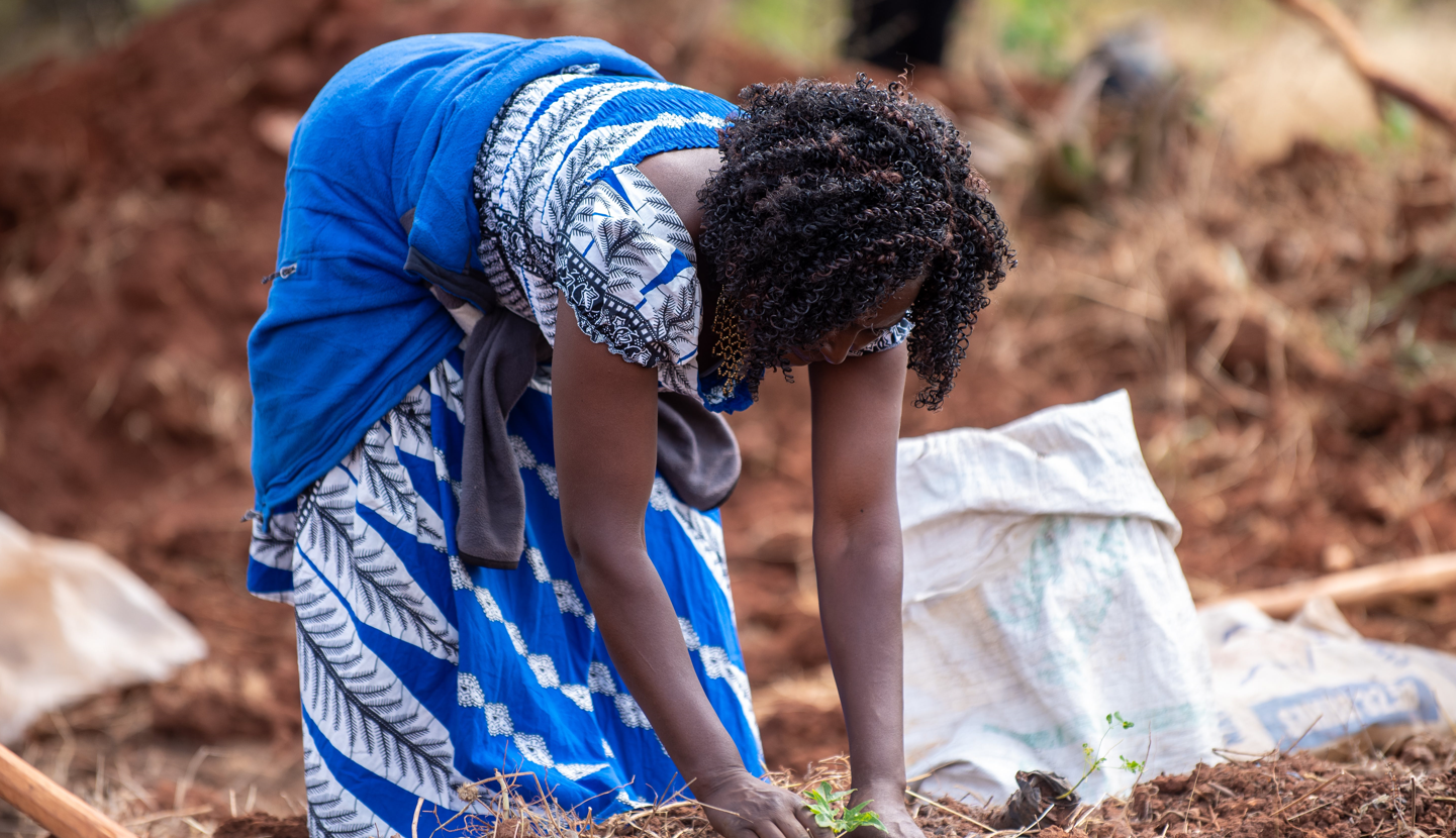 Kenya’s tree planting day: A call for environmental action
