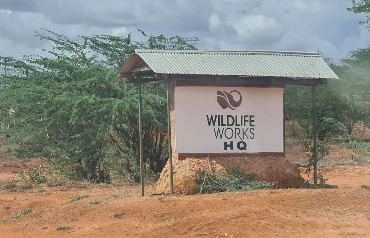 Systemic sexual abuse unveiled at Kenyan offsetting project