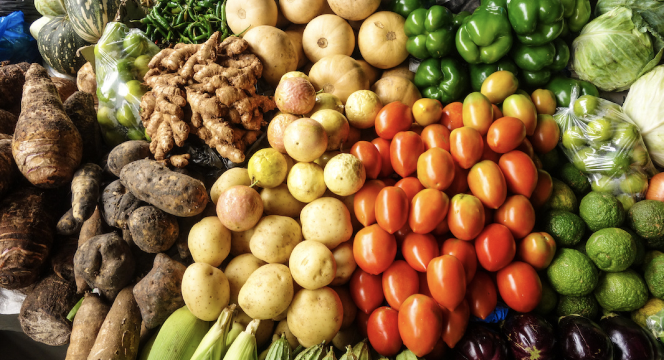 Alarming rise in Africa’s food import bill: $110B by 2025