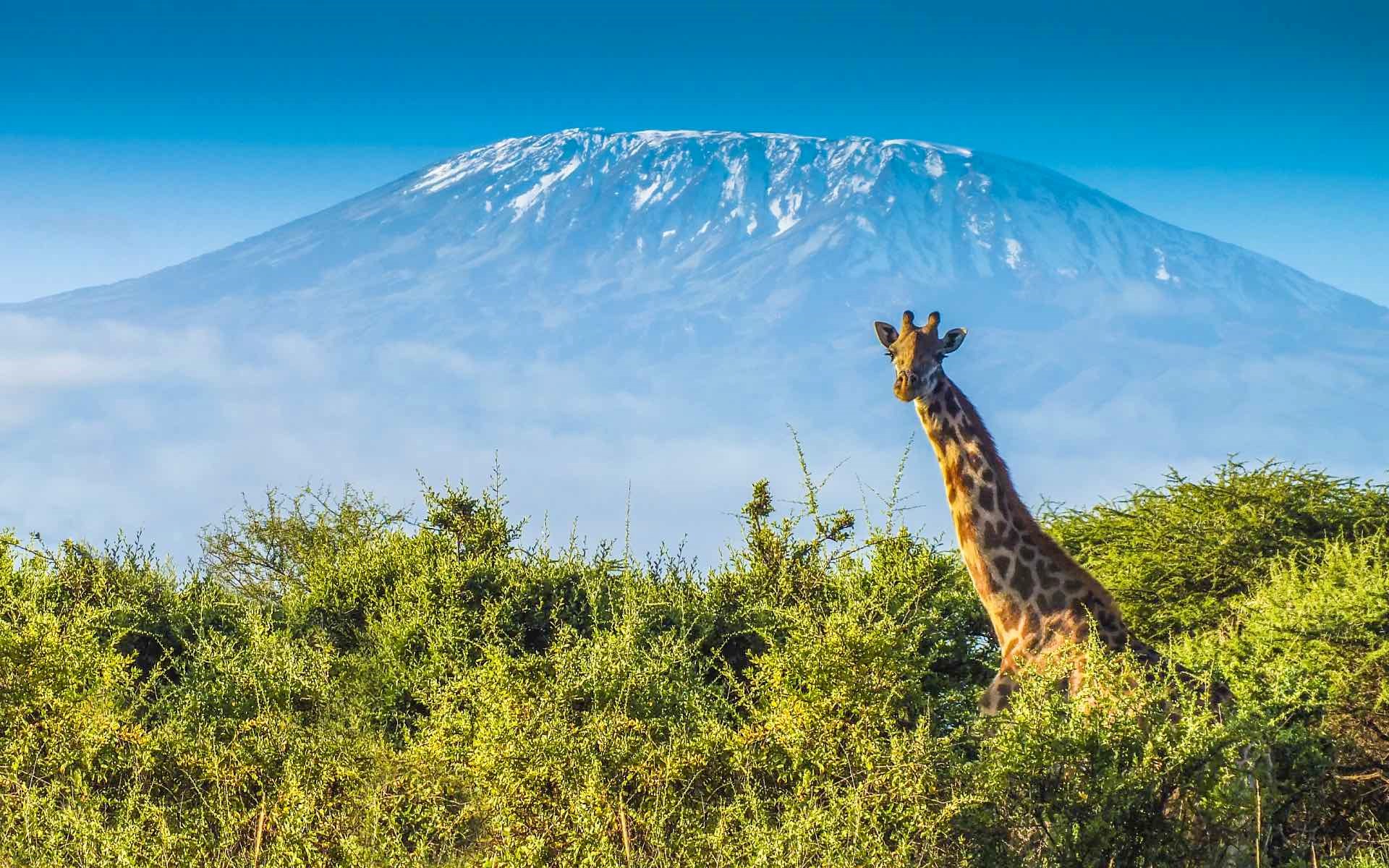 Tanzania signs major land-based carbon credit deal