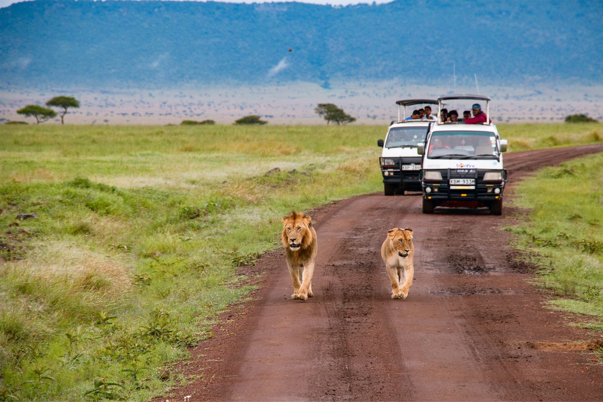 Kenya’s new e-visa takes off, ushering in era of travel