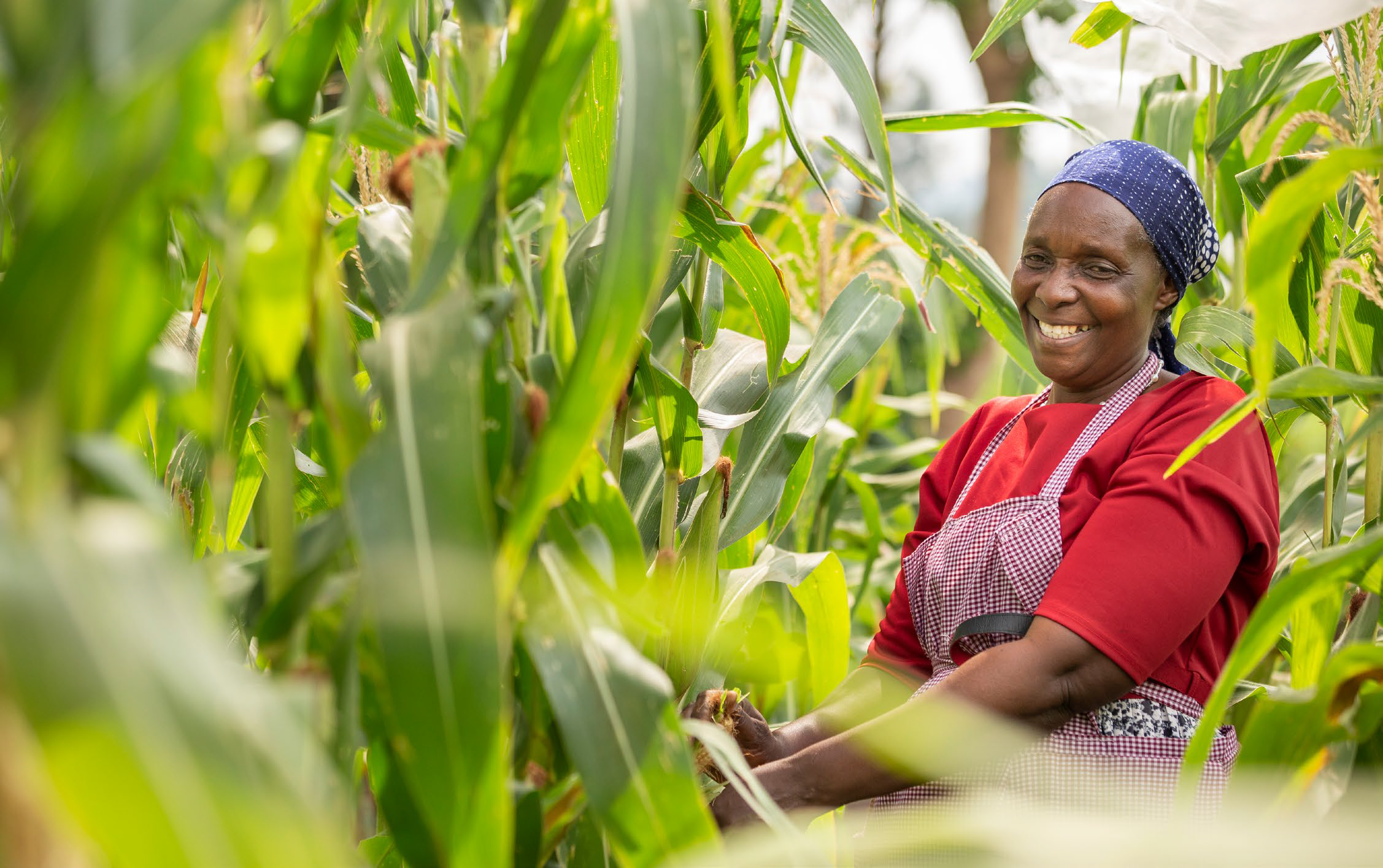 Africa’s tech-driven agricultural revolution