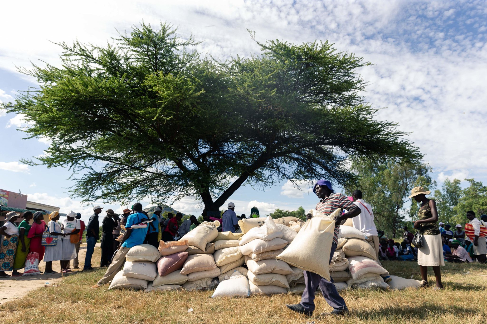 WFP provides aid for 2.7M Zimbabweans amid erratic rainfall