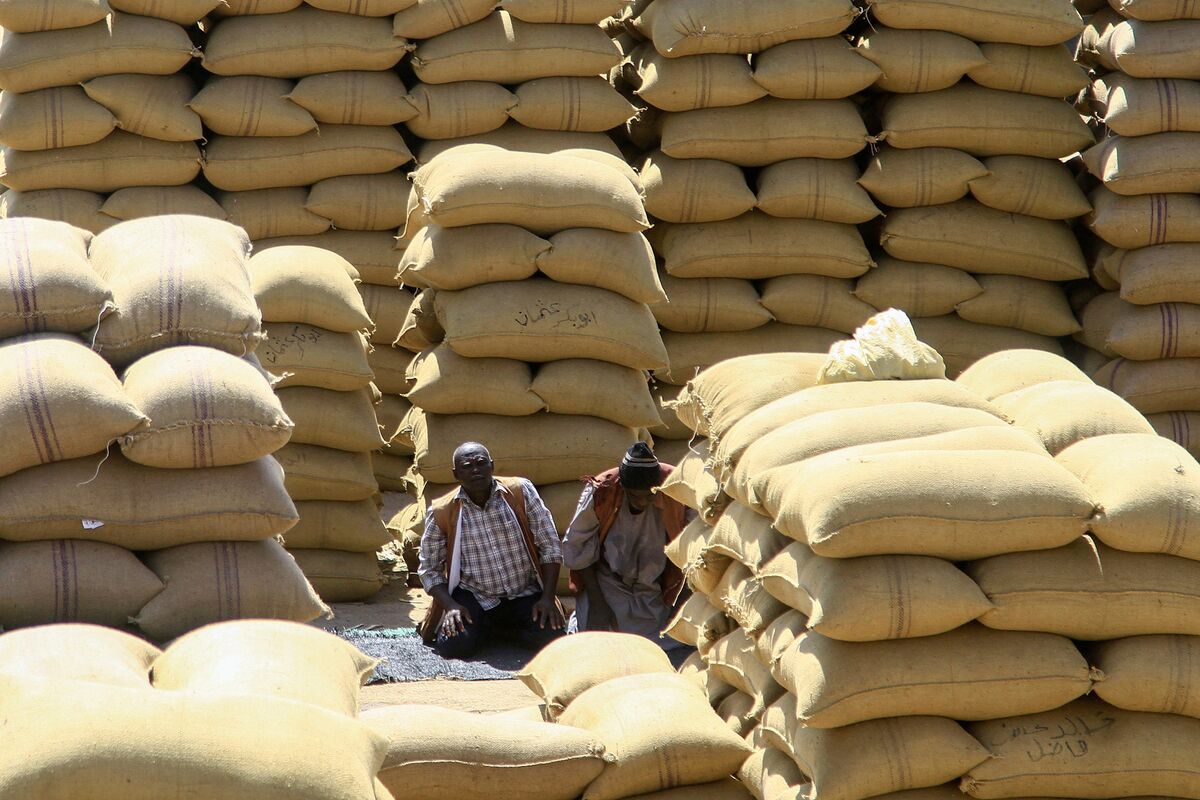 Sudanese economy shrinks by 40% amid ongoing conflict