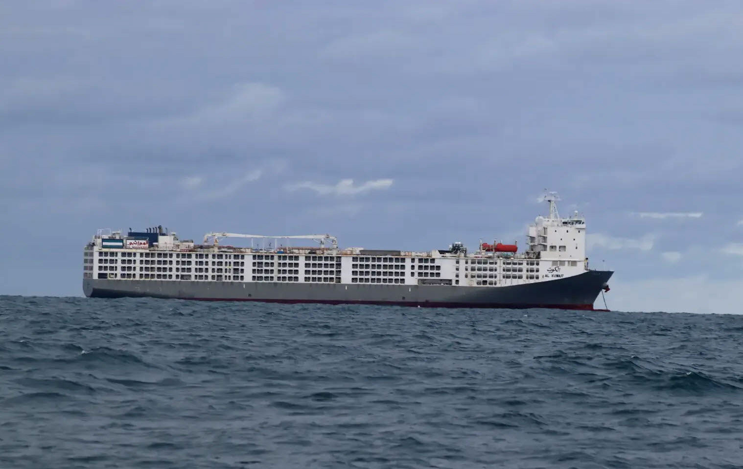 Livestock vessel accused of Cape Town stench sets sail for Iraq