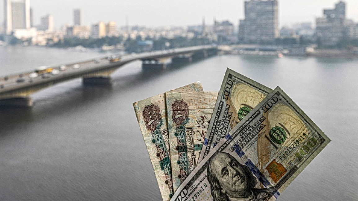 Egyptian pound plummets as Egypt adopts floating exchange rate