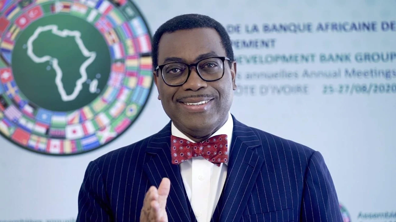 AfDB’s Adesina warns against unequal resource deals