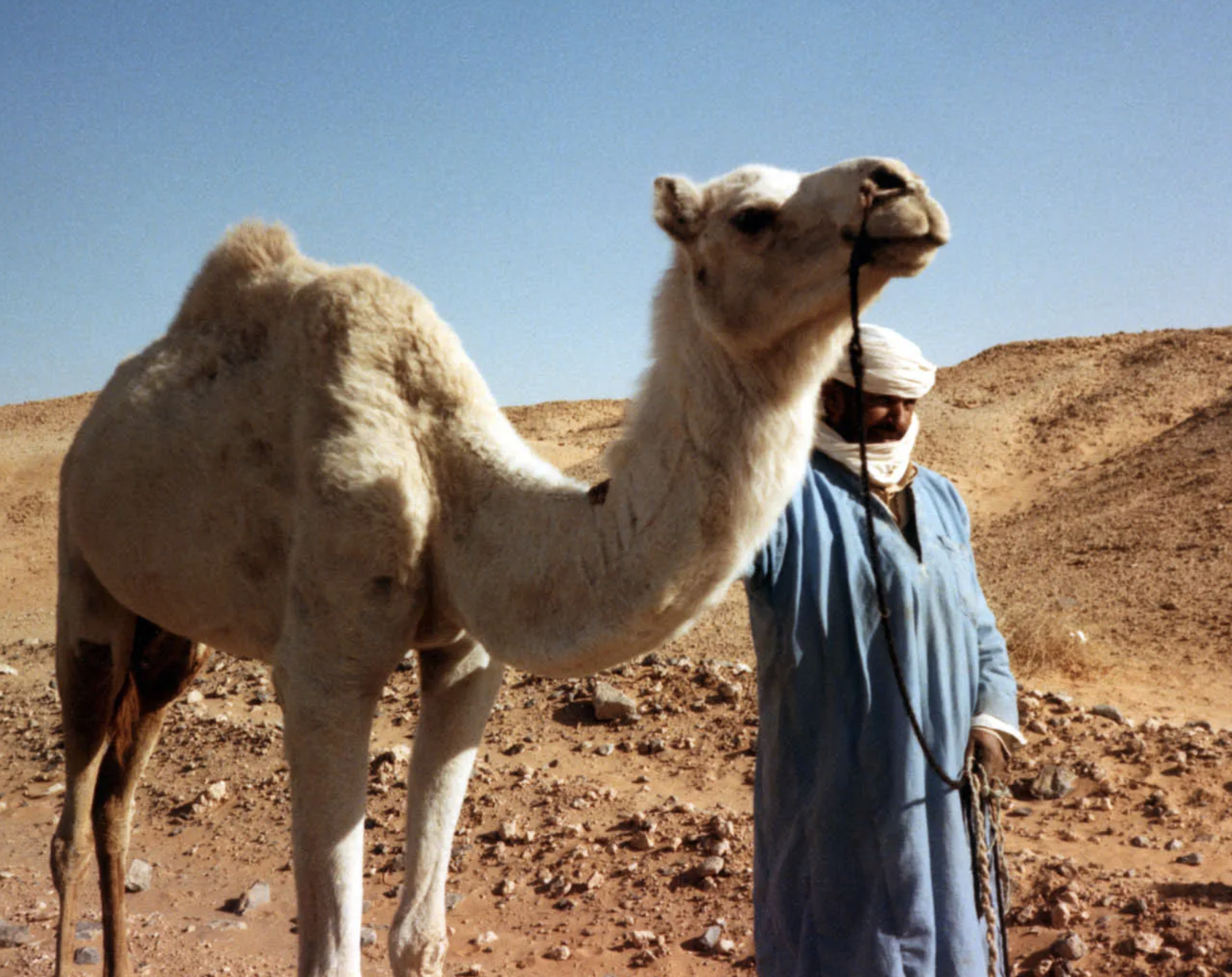 Embracing Africa’s linguistic diversity