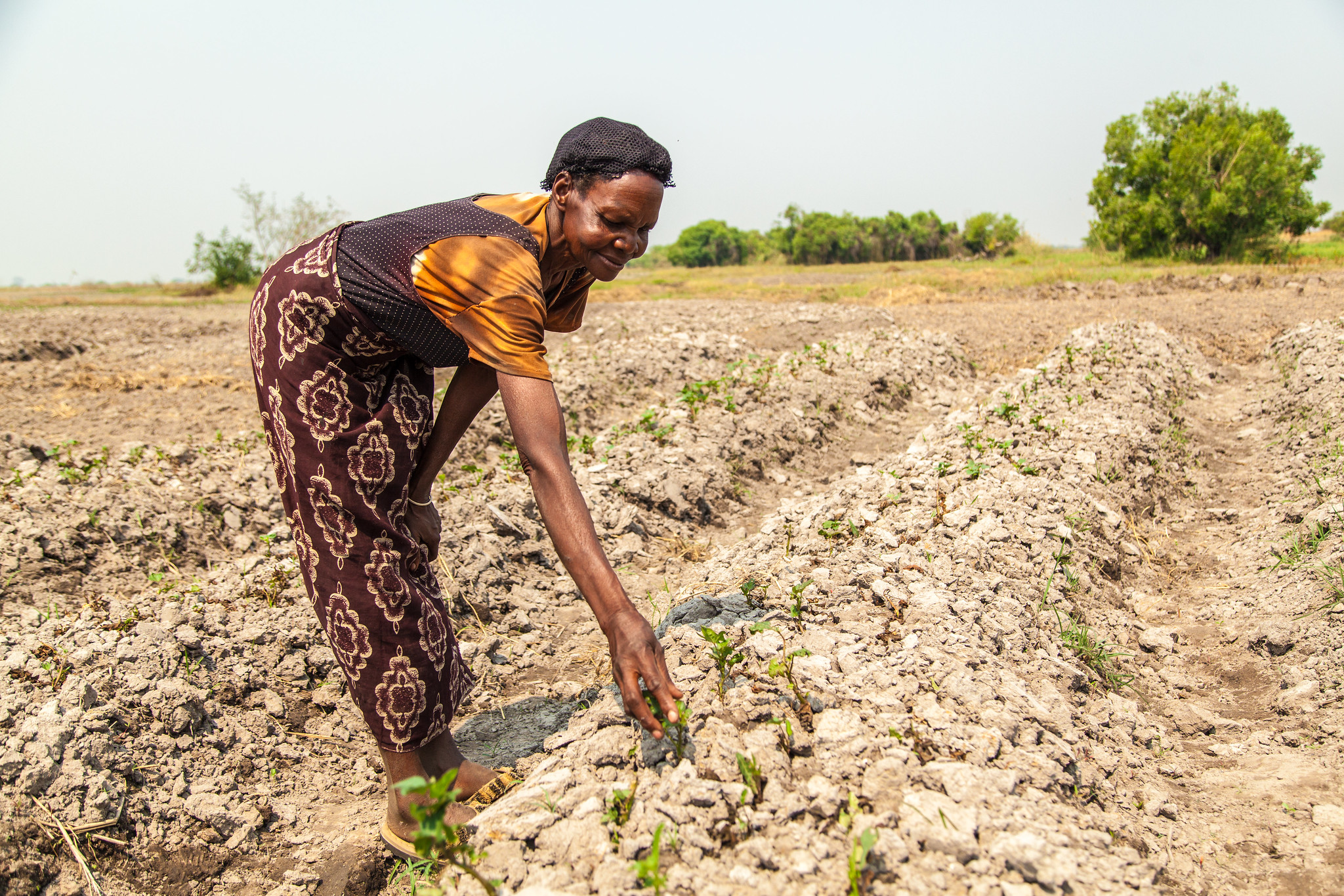 Zambia grapples with power shortages as drought bites