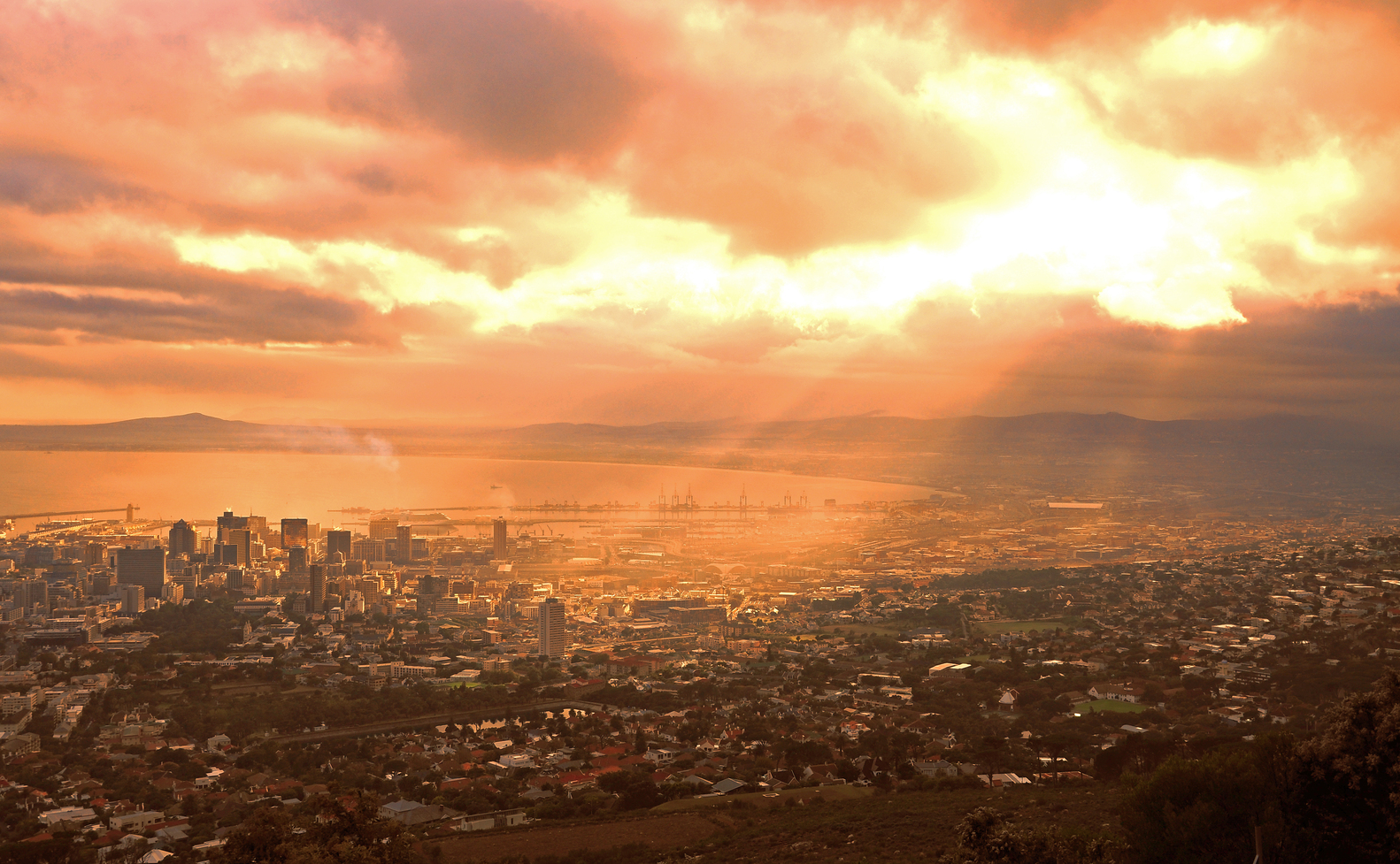 Nigeria, South Africa, and Kenya lead regional growth