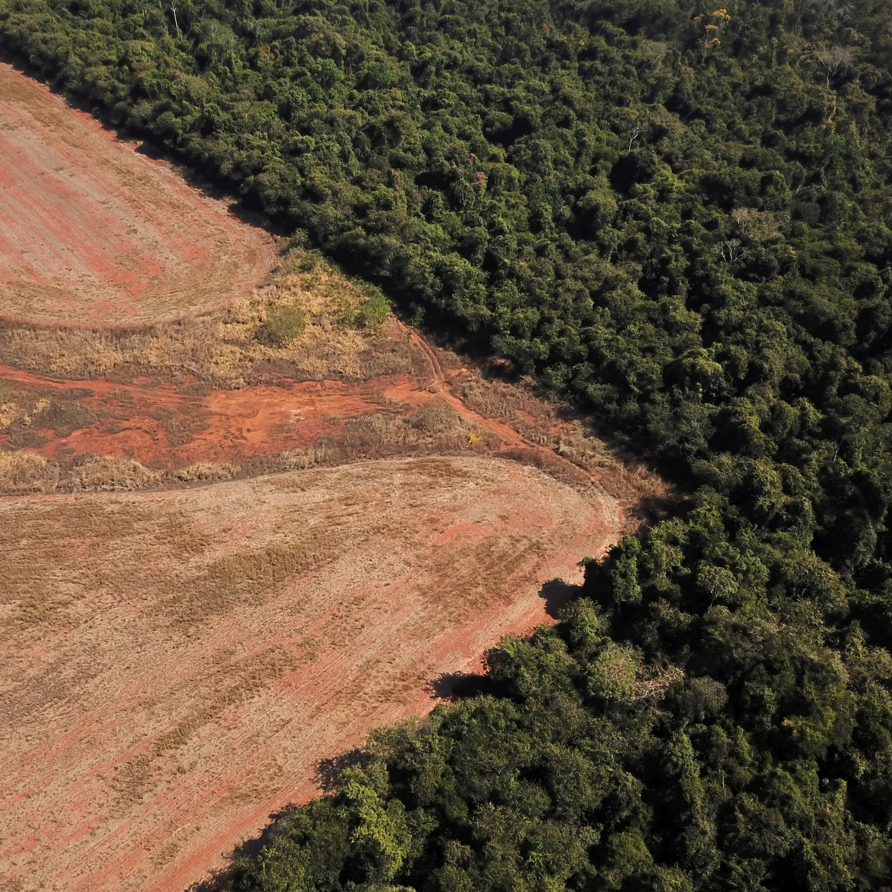 Colombia deforestation up despite 2023 decline
