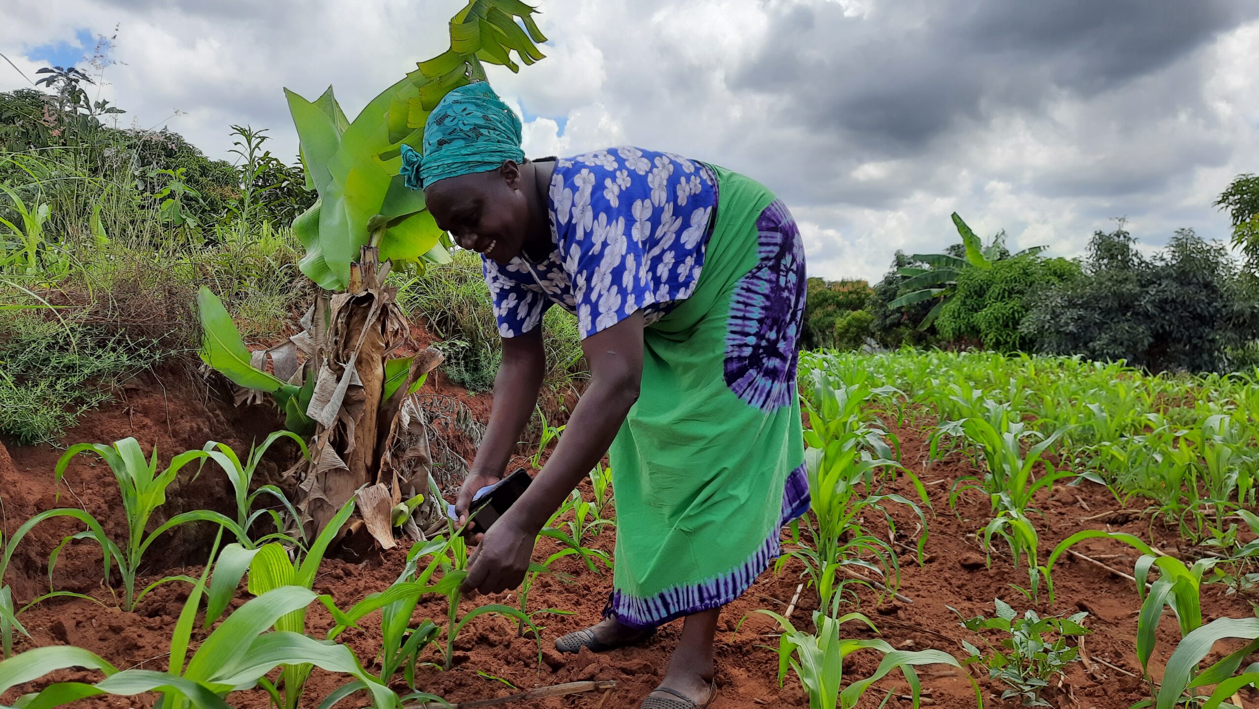 Advancements in African agriculture drive green revolution