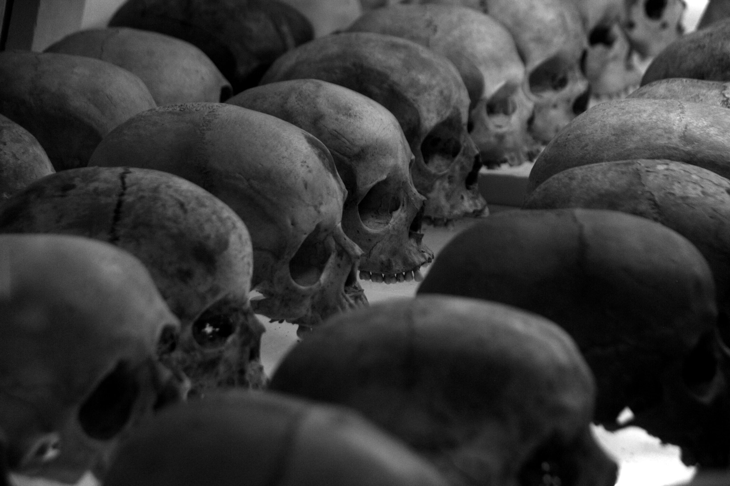 French NGO seeks probe on Rwanda genocide