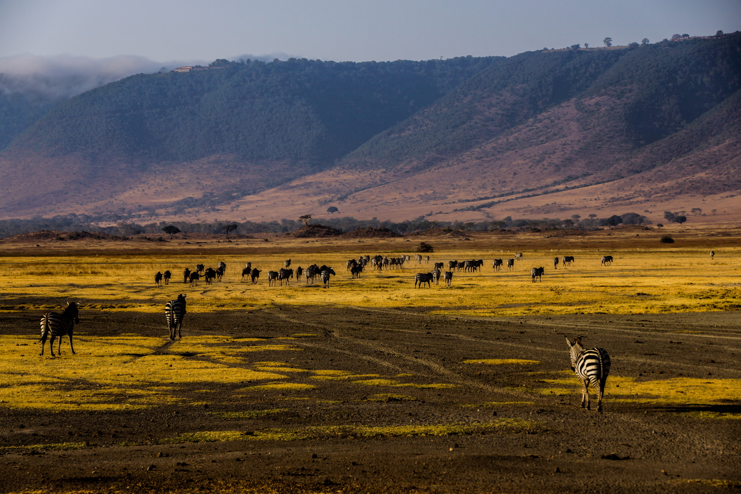 Ngorongoro Crater: A natural wonderland