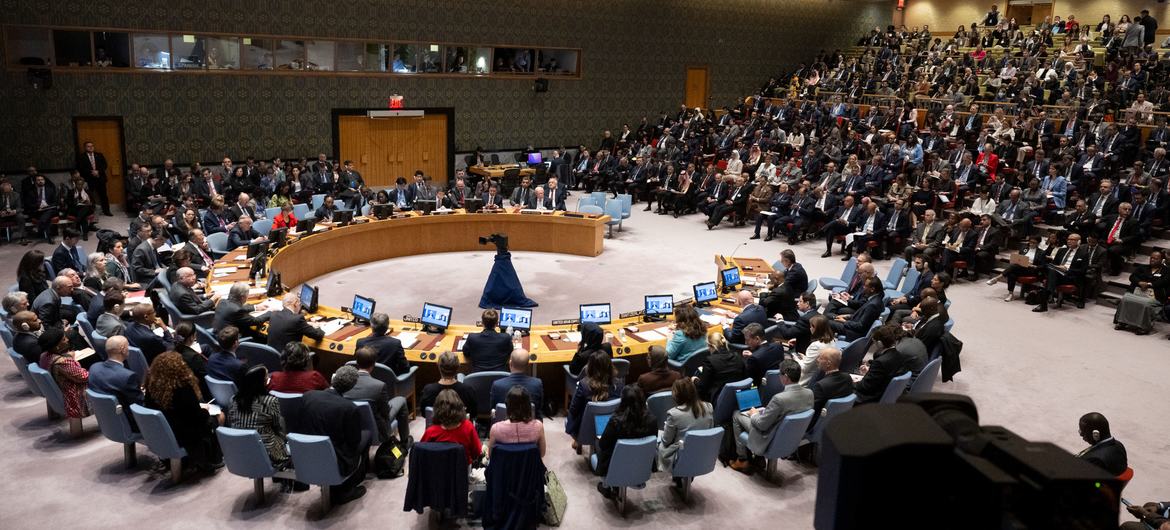 UNSC disagrees on Palestine’s full membership