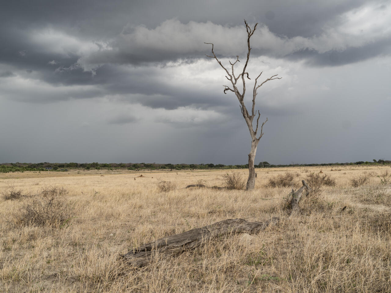 Zimbabwe declares national disaster as El Nino grips region