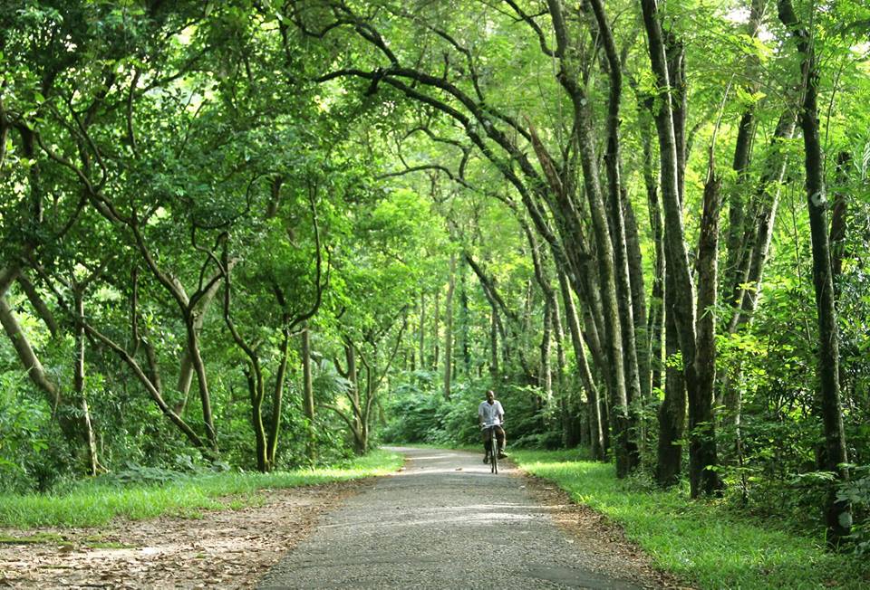 Monsoon rains revitalize East Africa