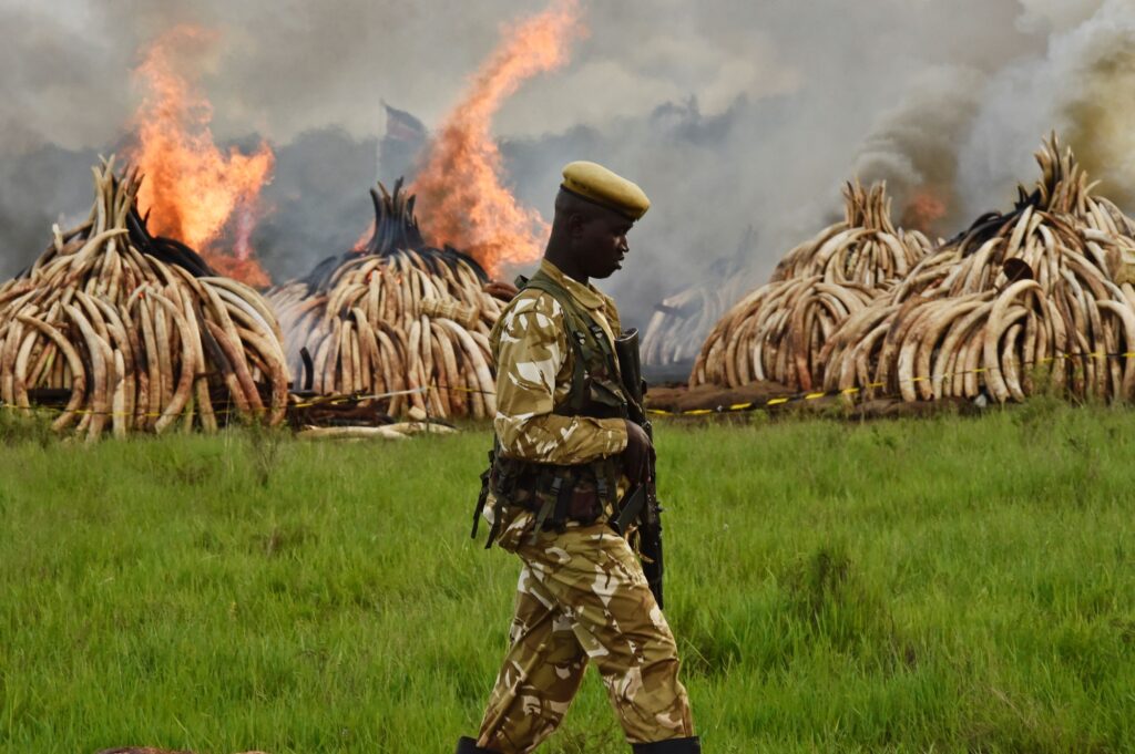 Tanzania’s anti-poaching laws: Human toll and consequences
