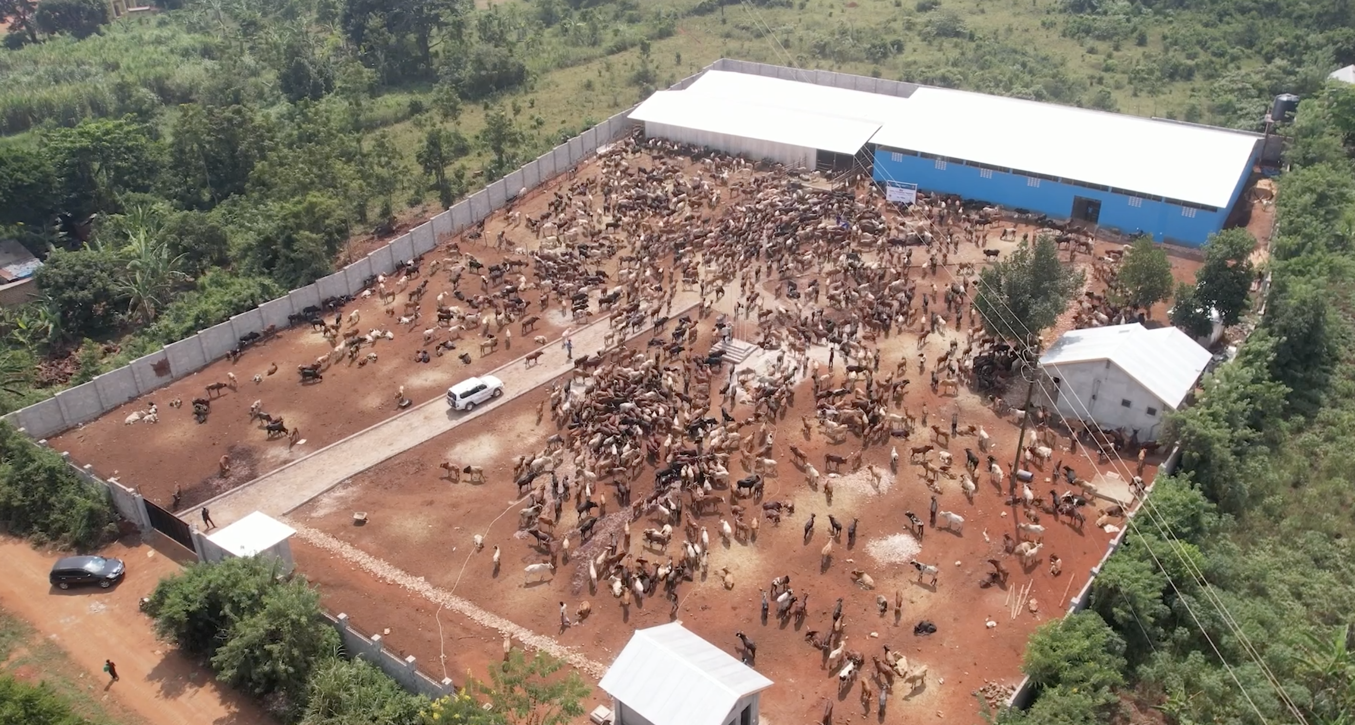 Turkish aid brings Eid joy to Ugandan families