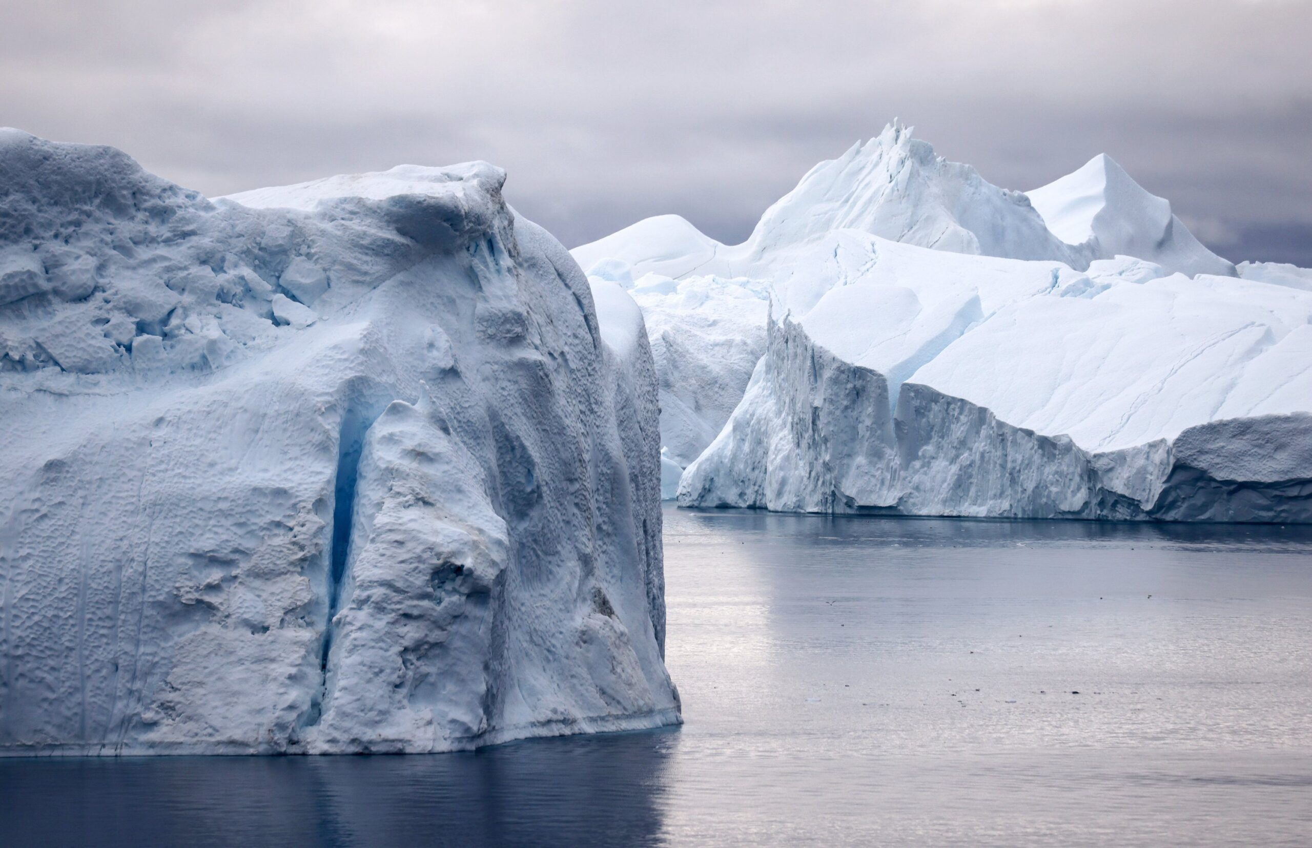 Turkish scientists to restore Arctic damaged lands