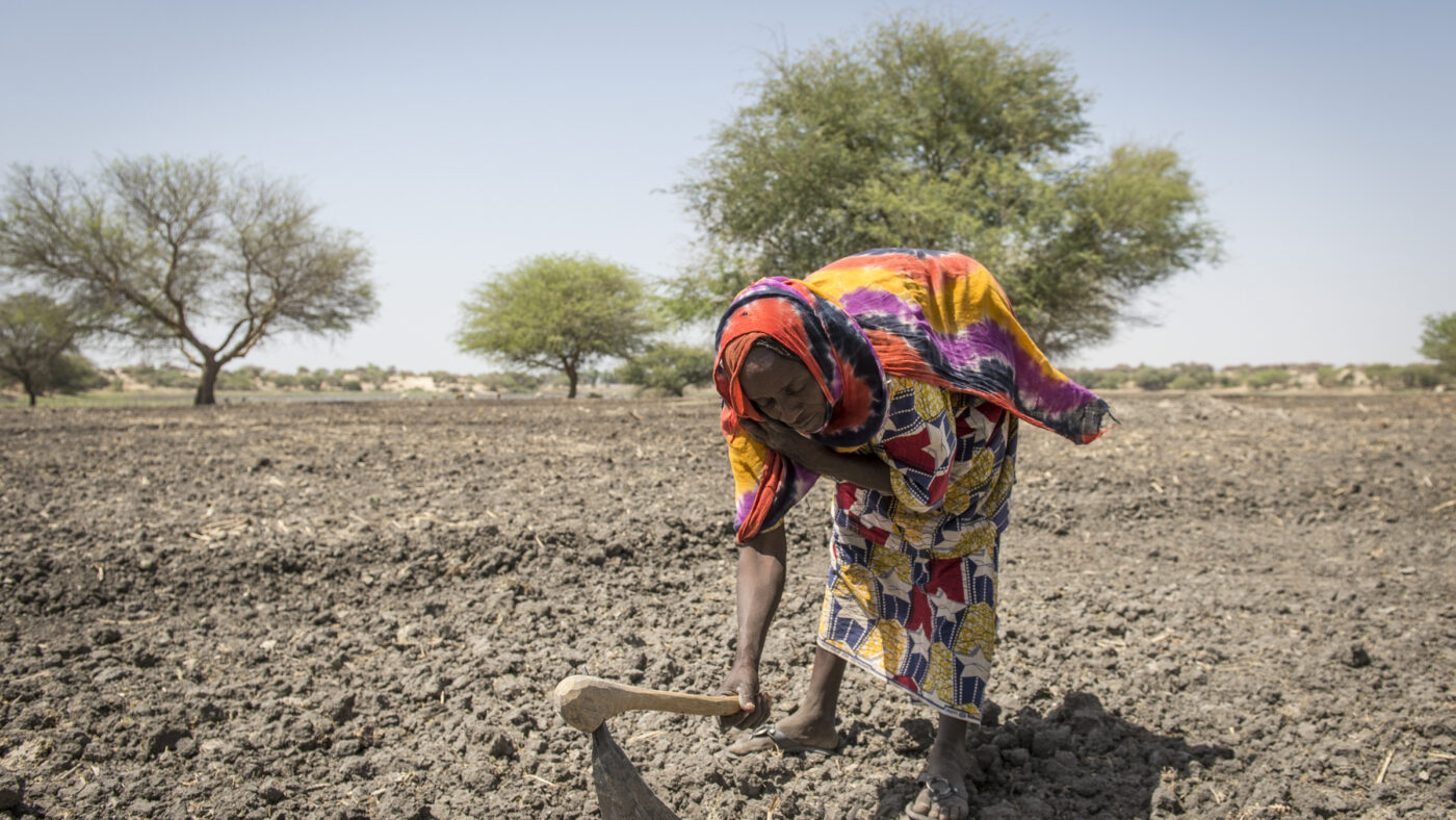 Study reveals sharp increase in food insecurity in Nigeria