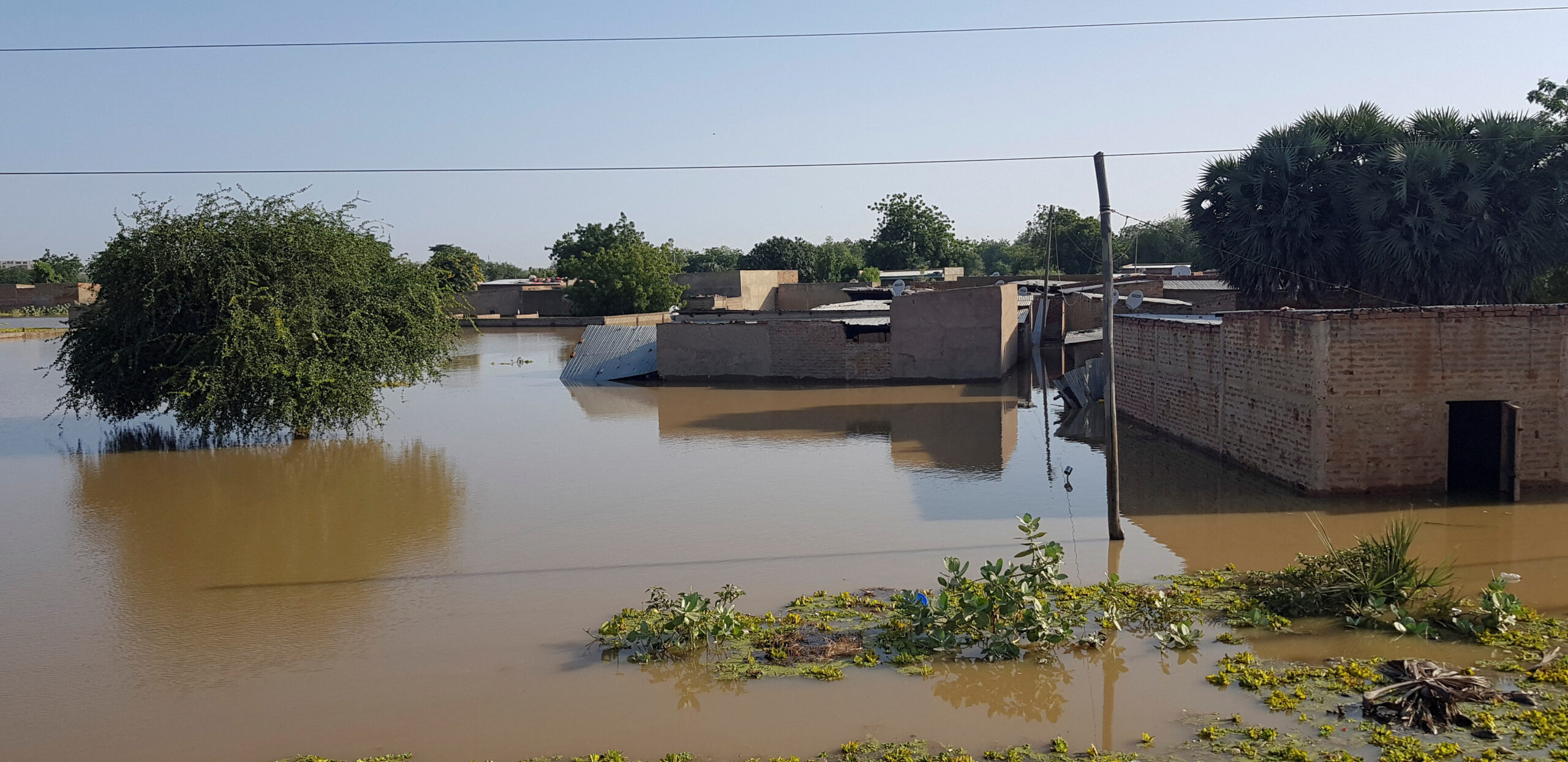 UN reports 341 dead and 1.5 million impacted by Chad flooding