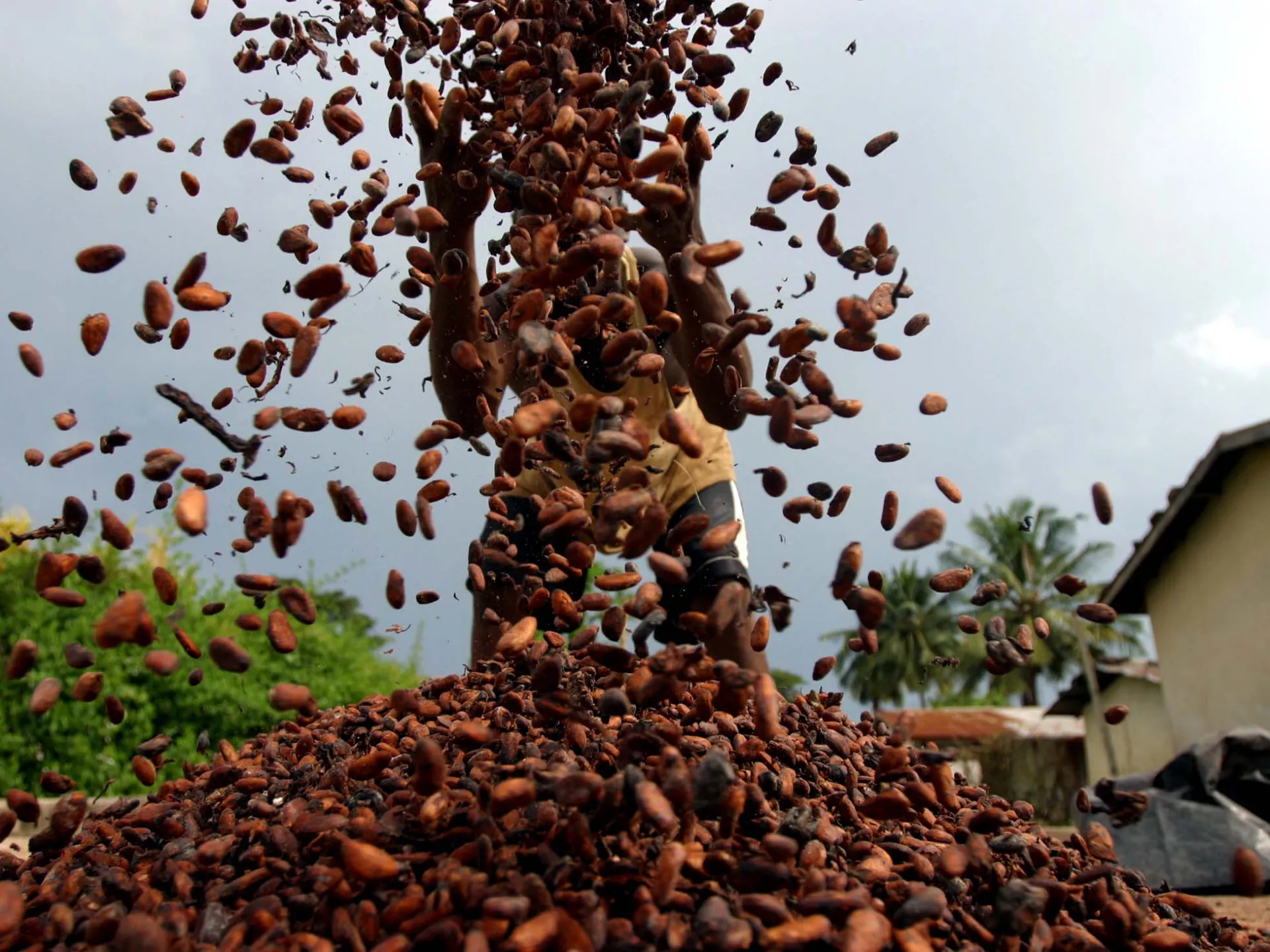 Ghana’s cocoa sector benefits from efficient financing