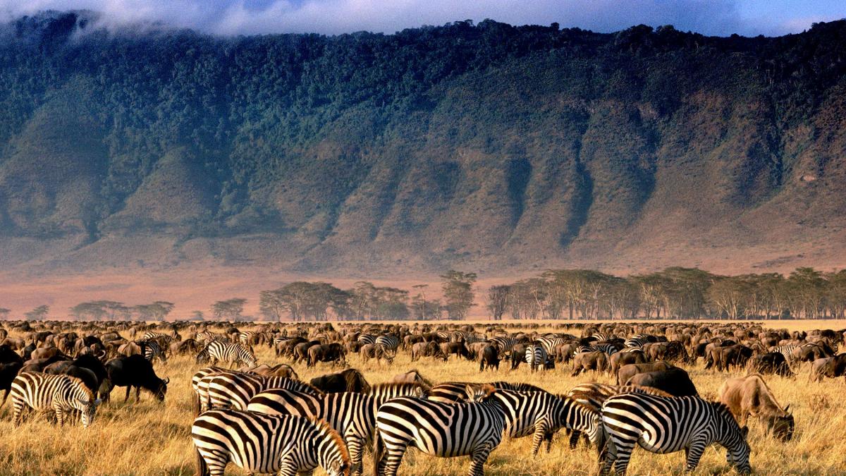Ngorongoro Crater: The heart of Tanzania’s ecosystem