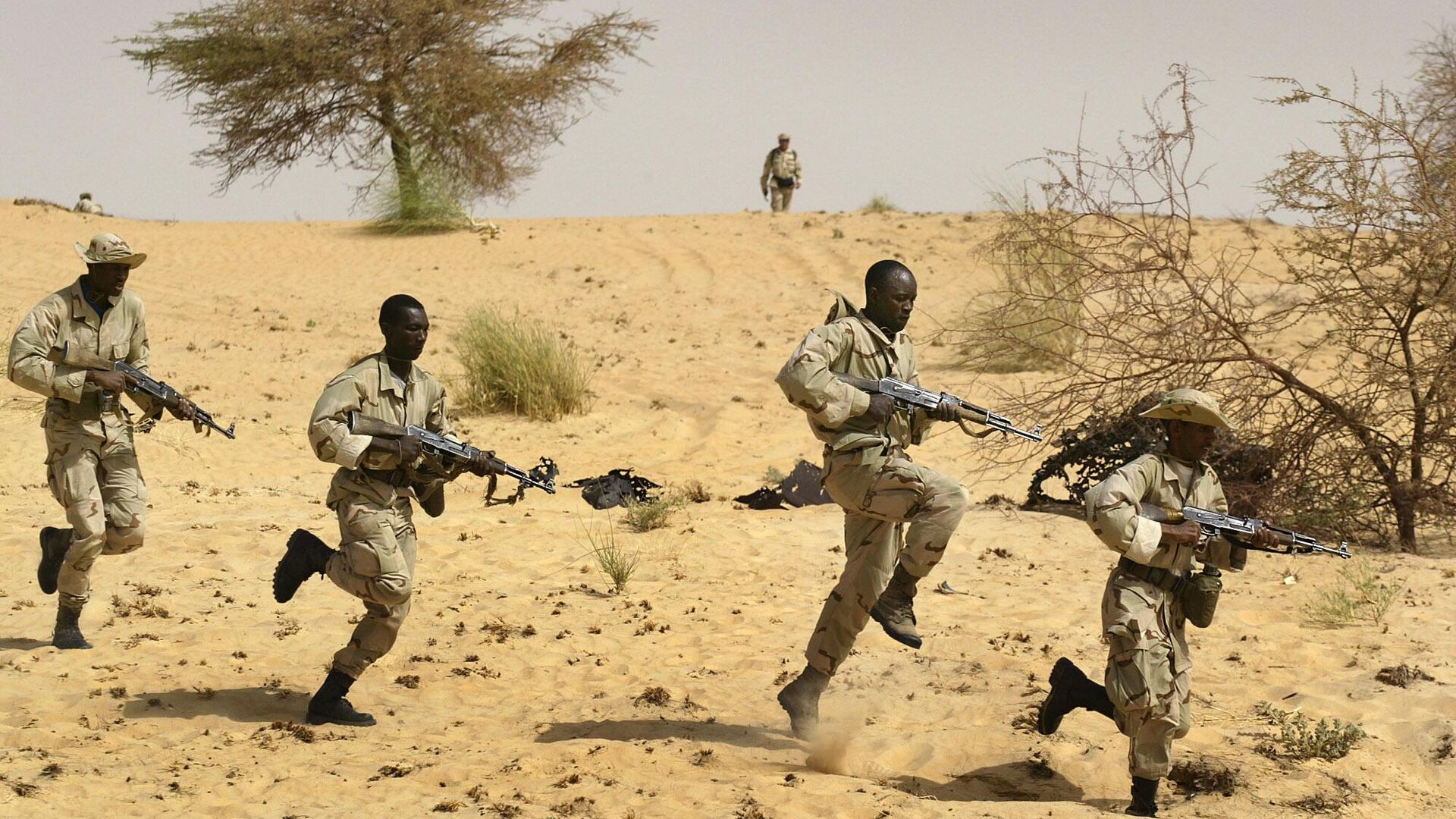 Terrorist base destroyed, 40 killed in Mali operations