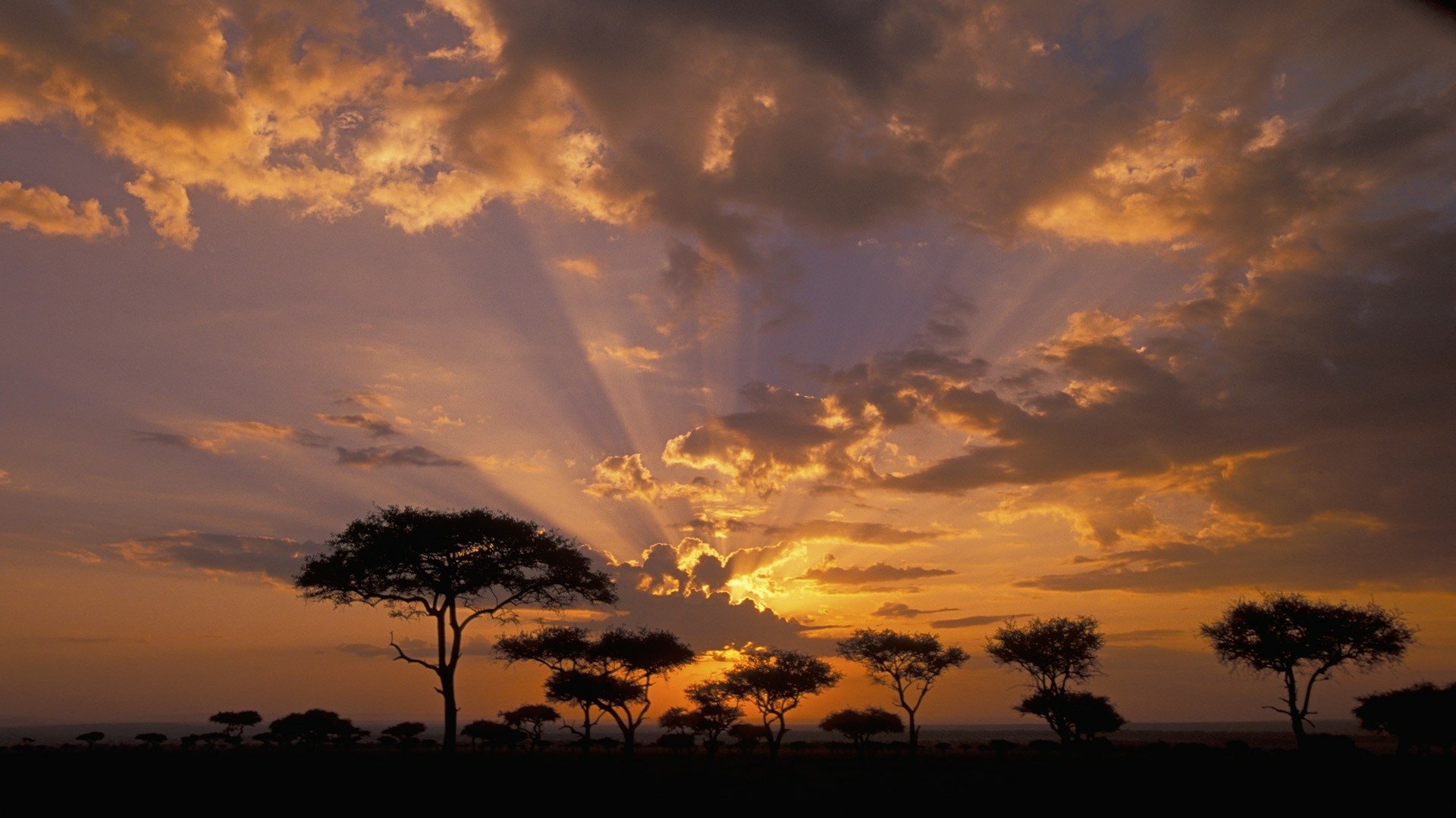 Blazing sunshine: Parts of Africa bask in over 4,000 hours of sunlight yearly