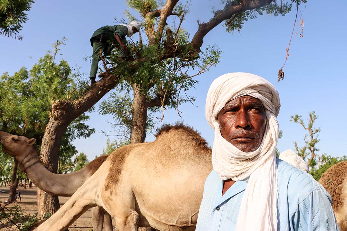 Chad sees fresh violence as herders and farmers clash