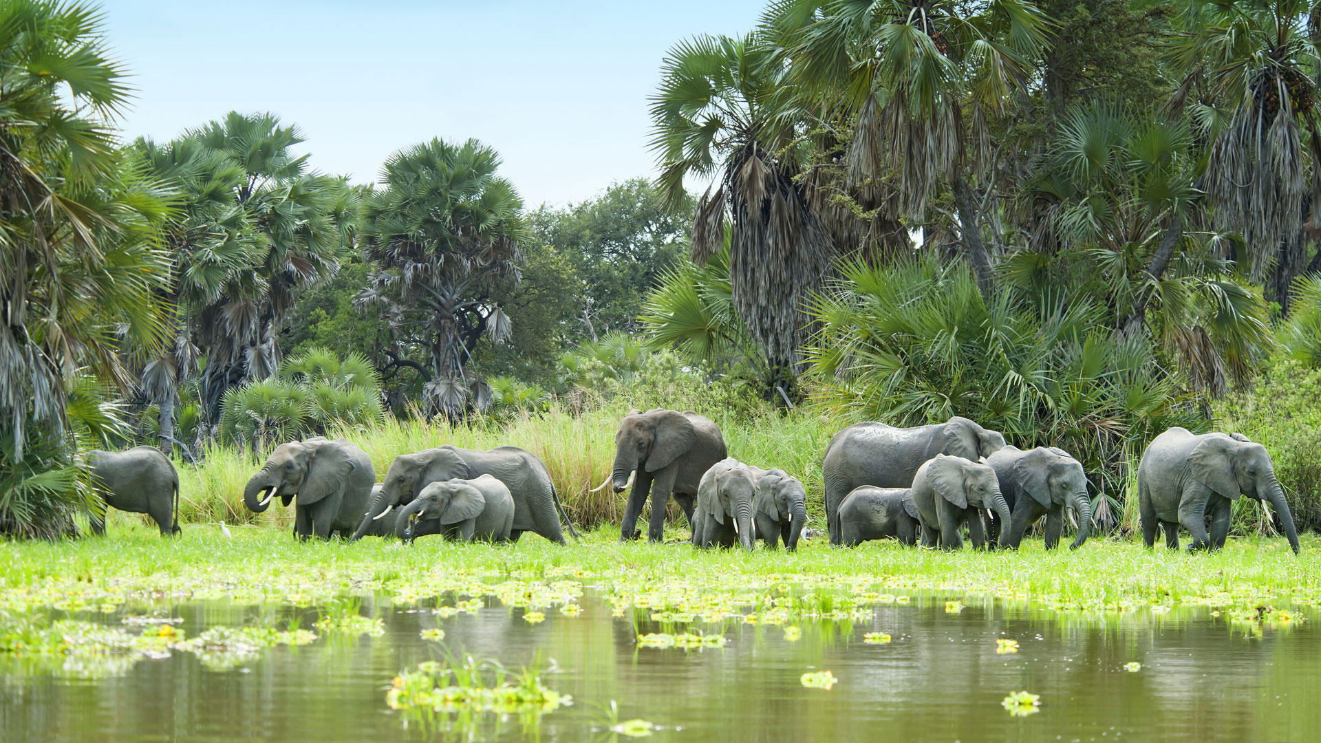 Tanzania’s Selous: A global wildlife treasure