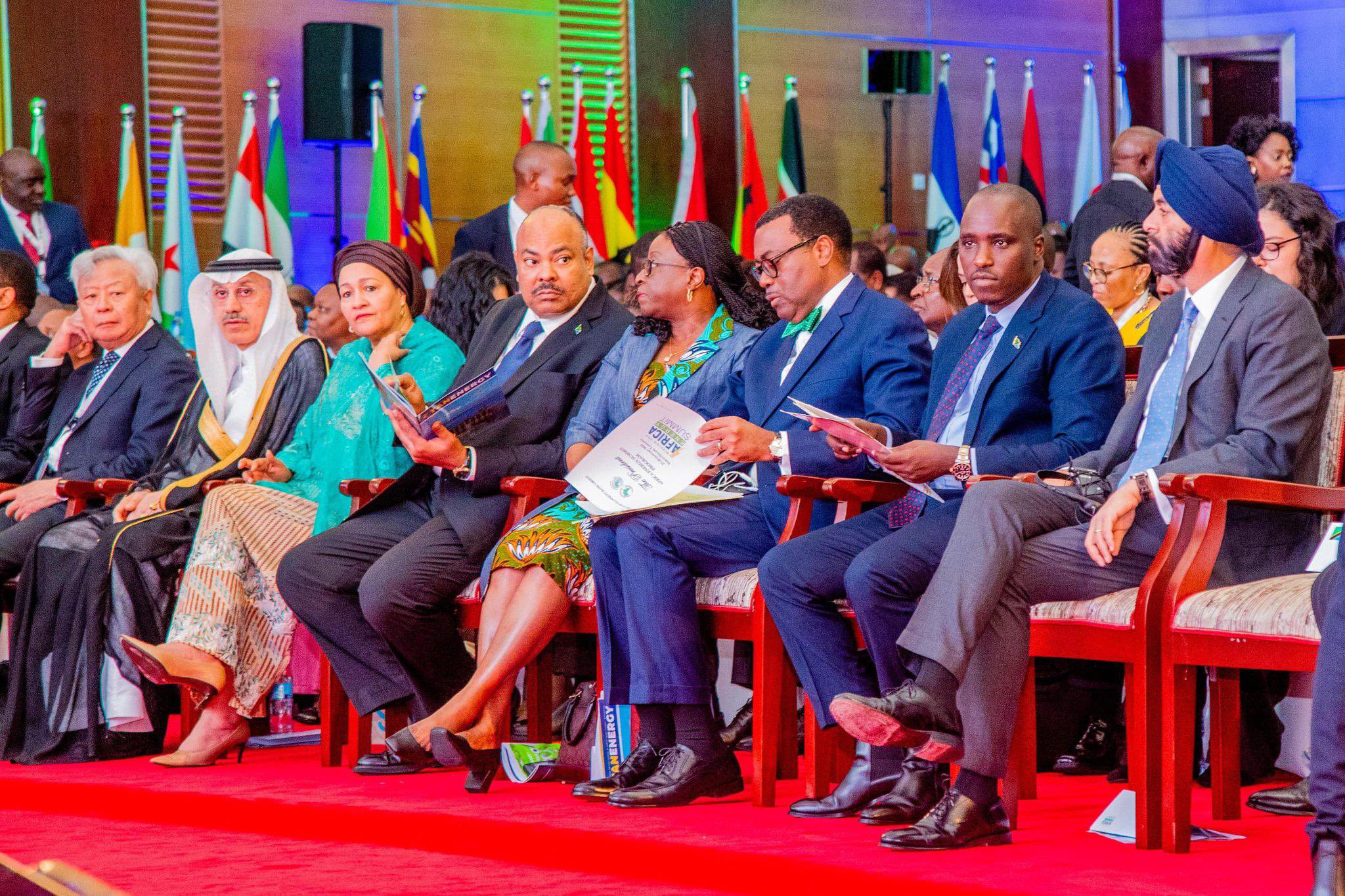 Tanzania summit unites leaders to tackle energy access for 300M