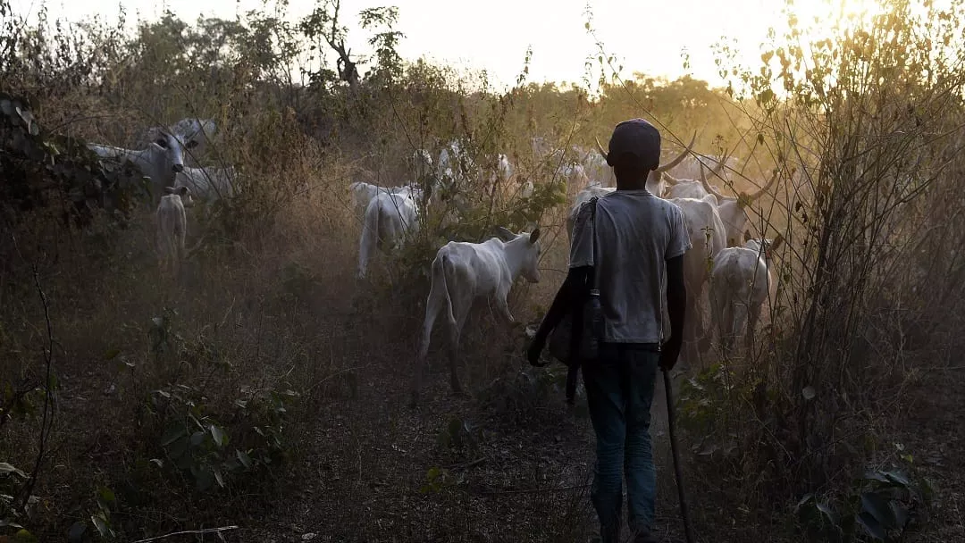 Suspected herdsmen kill at least 17 in Benue, Nigeria