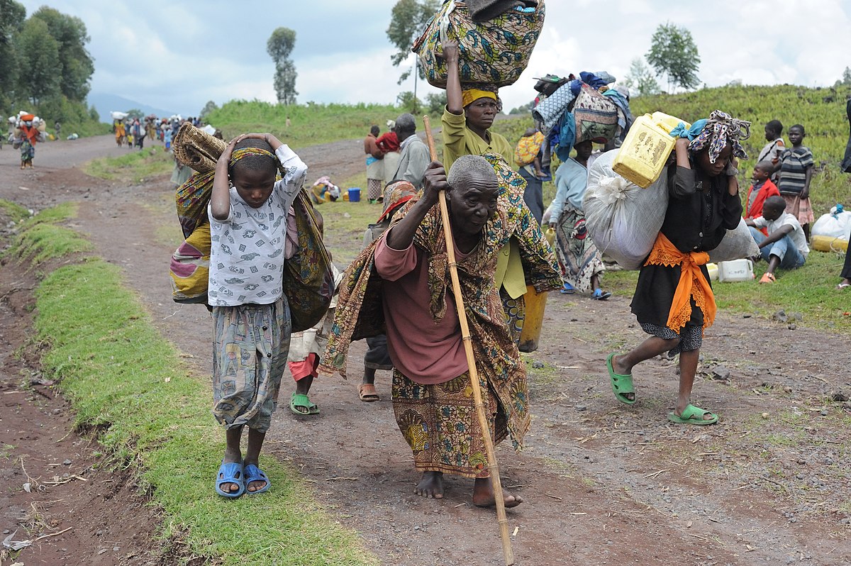 Global internal displacement hits 80 million