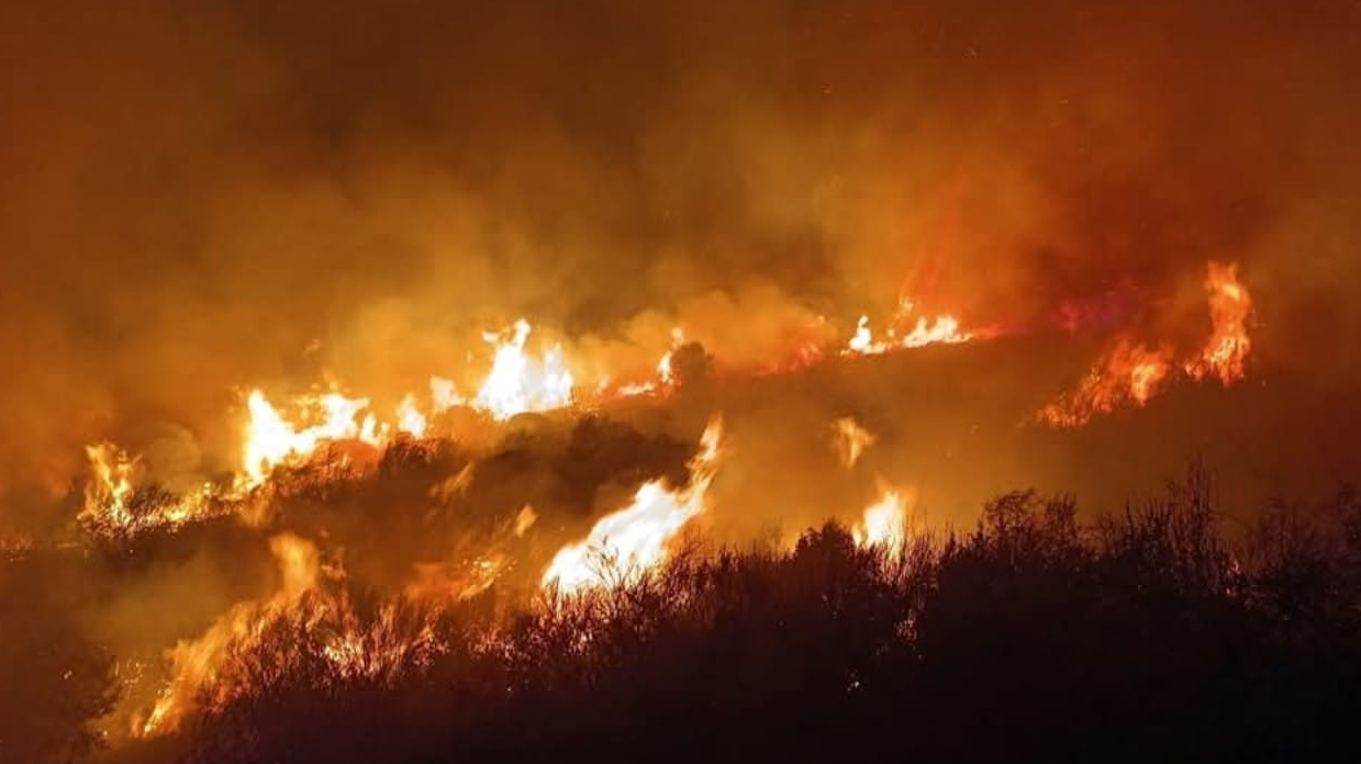Moroccan teams battle fierce wildfires in Tangier for four days