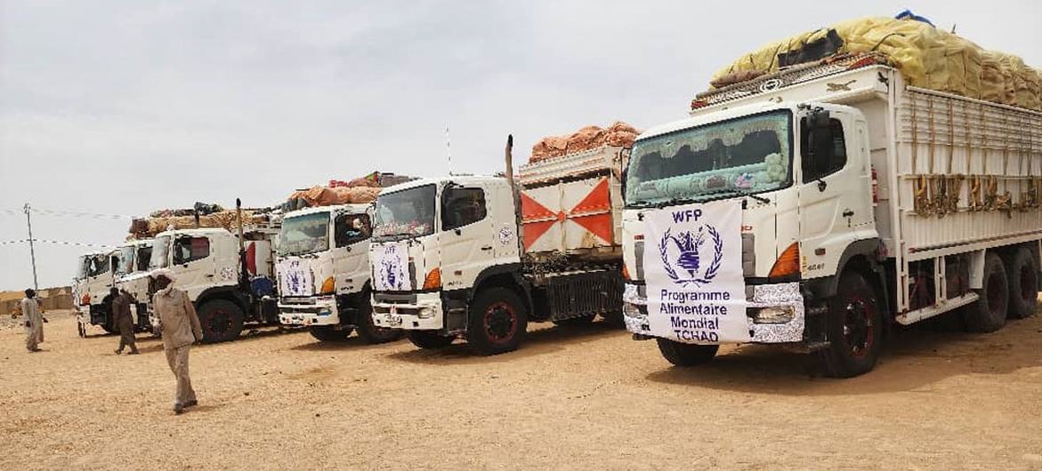 SAF airstrike targets UN aid convoy in Sudan, 5 aid workers killed
