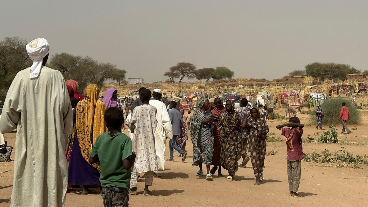 Food aid cuts threaten millions fleeing Sudan conflict