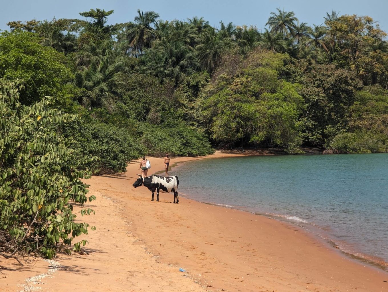 Guinea-Bissau’s Bijagos islands praised for ecosystems, heritage