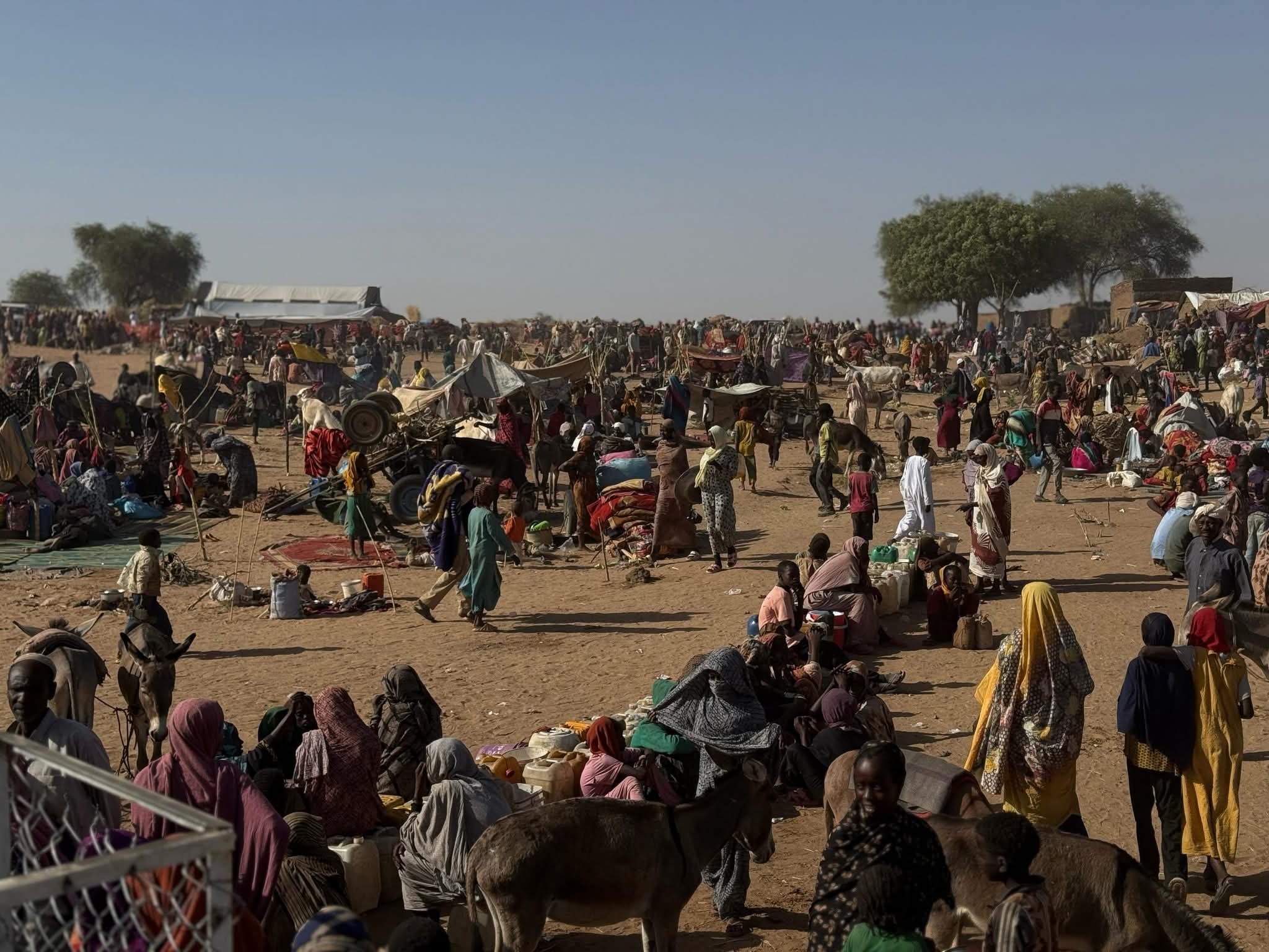 Over one million displaced from El Fasher, IOM reports
